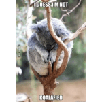 Eternal sunshine of the jobless&nbsp;mind